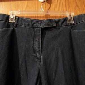 Coldwater Creek Aspen Extend Tab Jeans Women 16 Blue Denim High Rise Stretch NWT